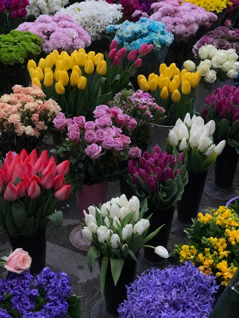 https://kilburnflorist.co.uk/blog/cheap-flowers-kilburn-nw2-real-cost-and-hidden-fees/