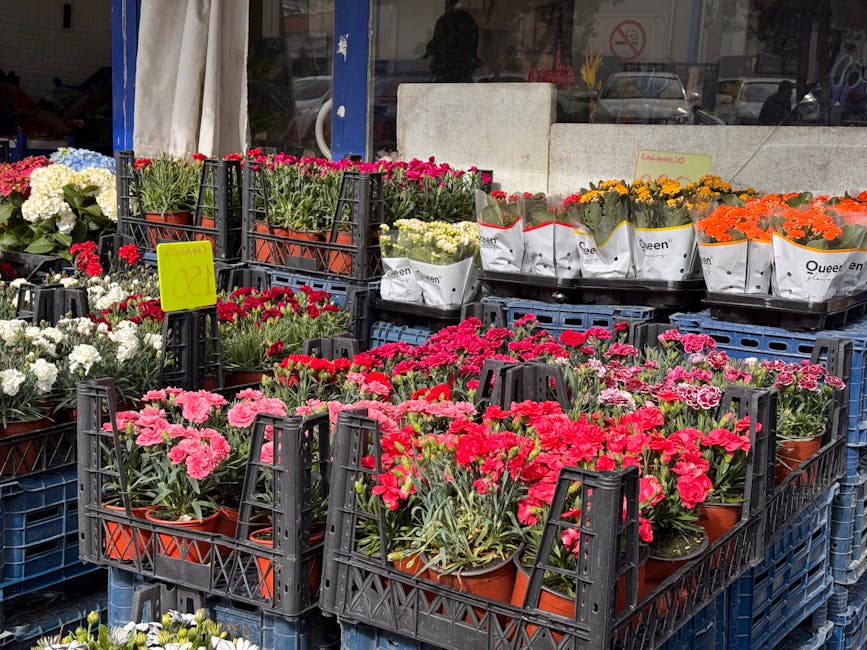 A display of potted carnations in various shades of pink, red, white, yellow, and orange arranged on black plastic crates outside a flower shop. The flowers are fresh, with lush green stems and ruffle